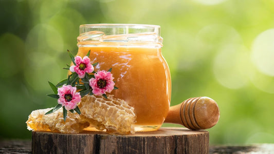 Raw honey being tested - how to check pure honey in Pakistan