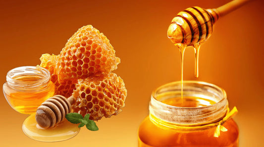 Different types of raw honey and honeycomb from Pakistan