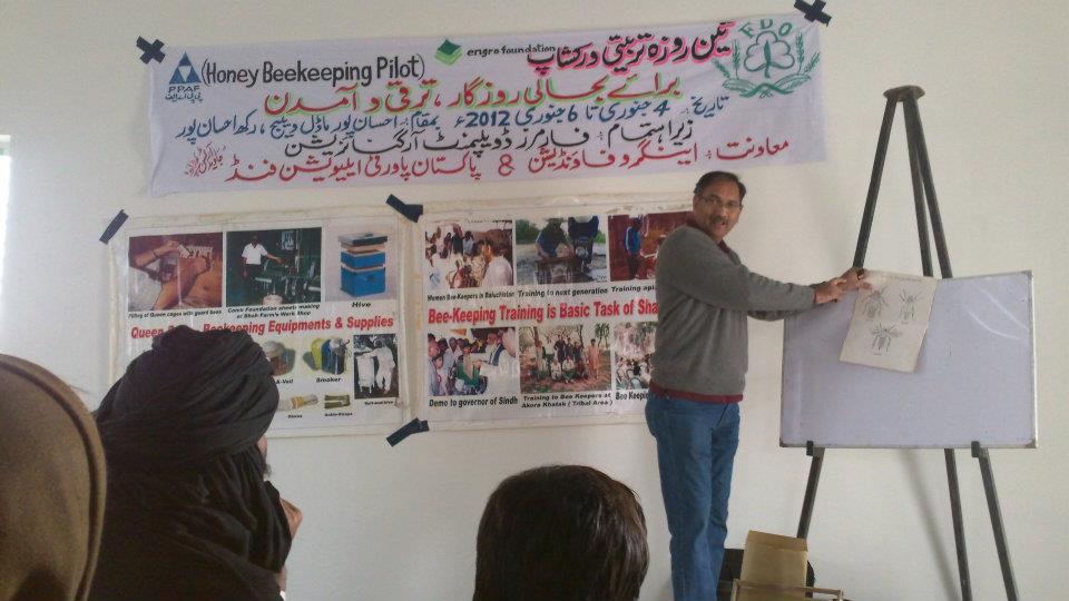 Shah Farms beekeeping training workshop with Engro Foundation and PPAF