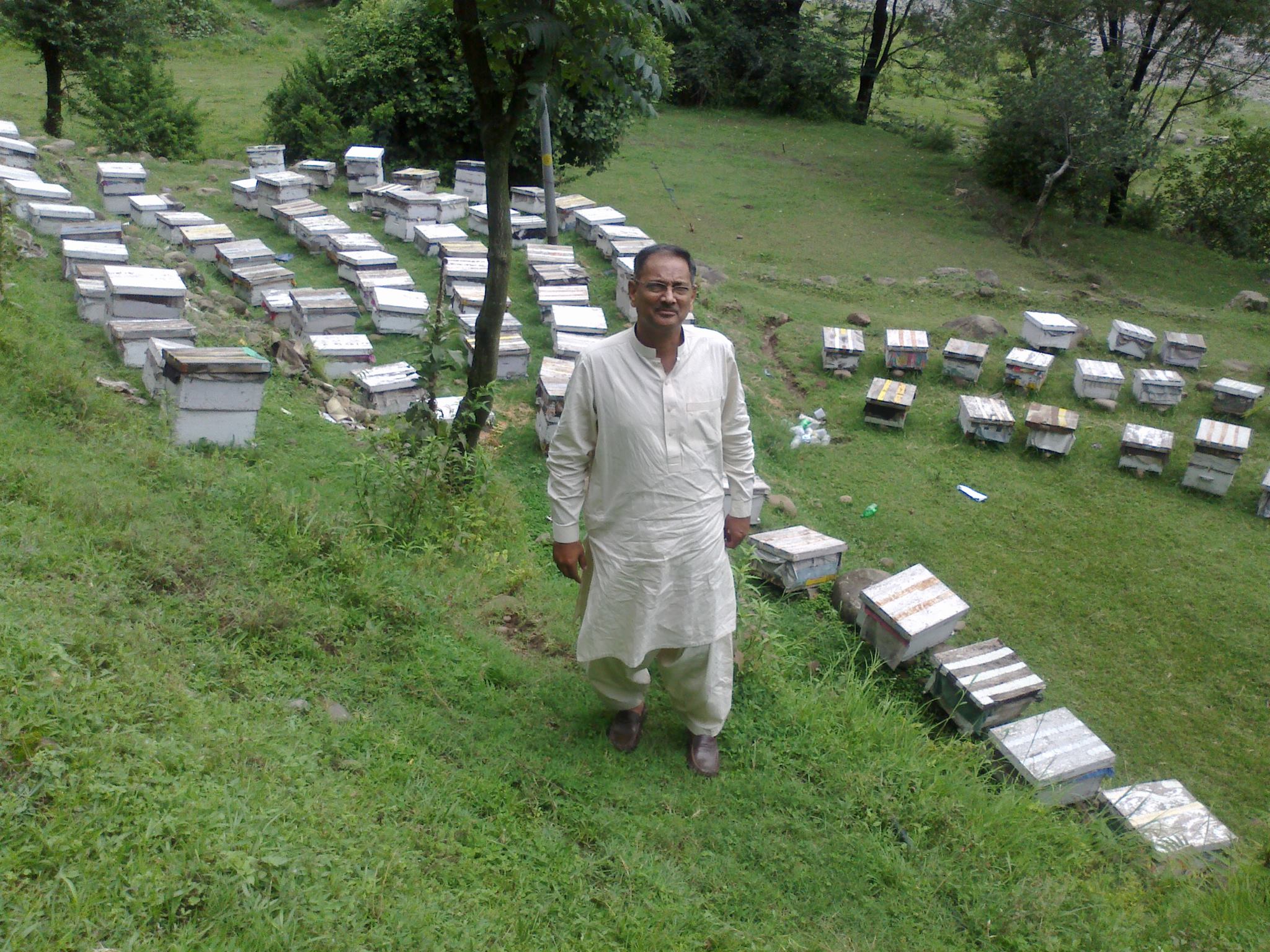 A Shah Farms hillside apiary with dozens of beehives in Pakistan