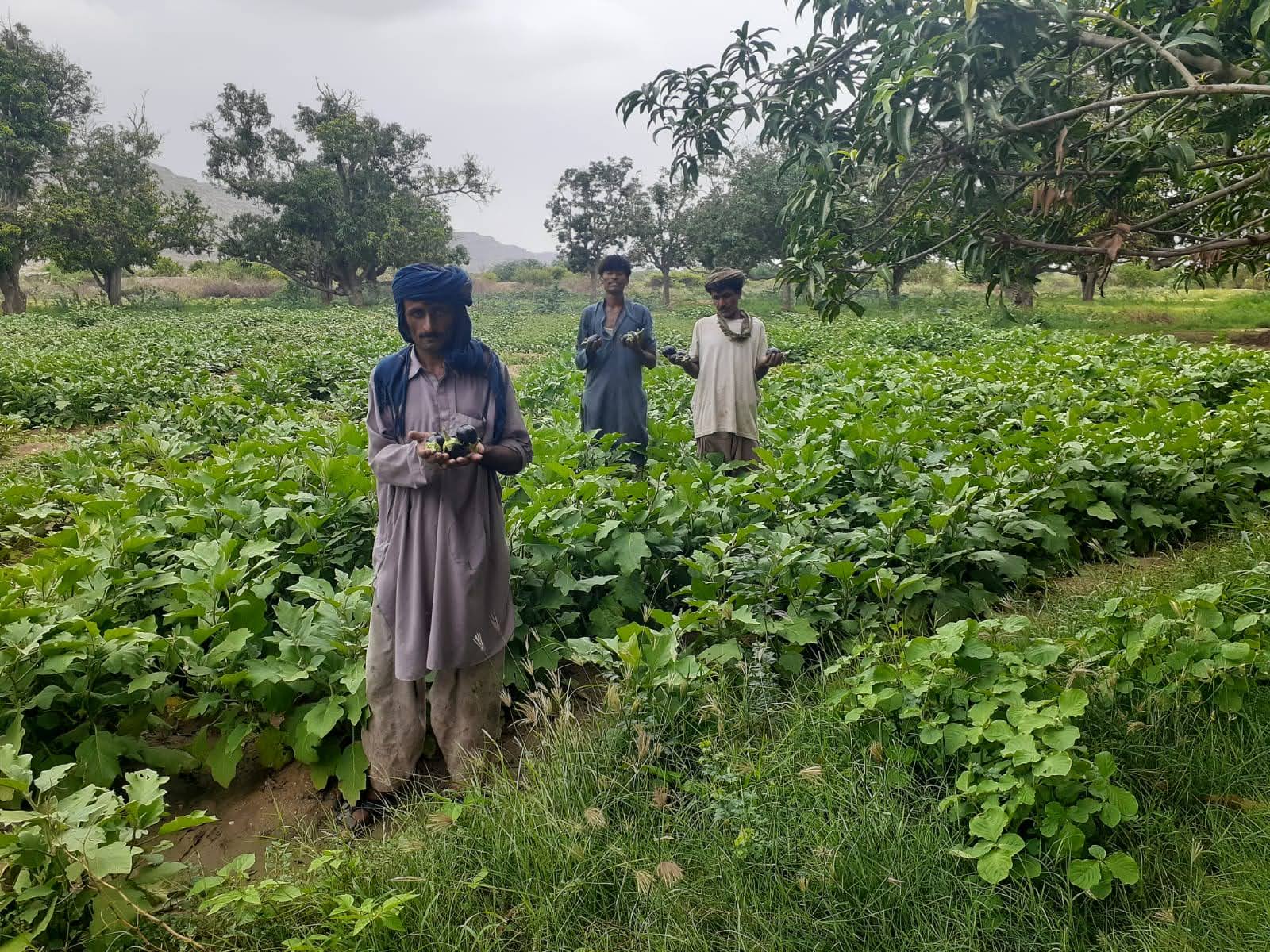 a4c8c77c-24f4-46b4-96a5-20607b0956cd